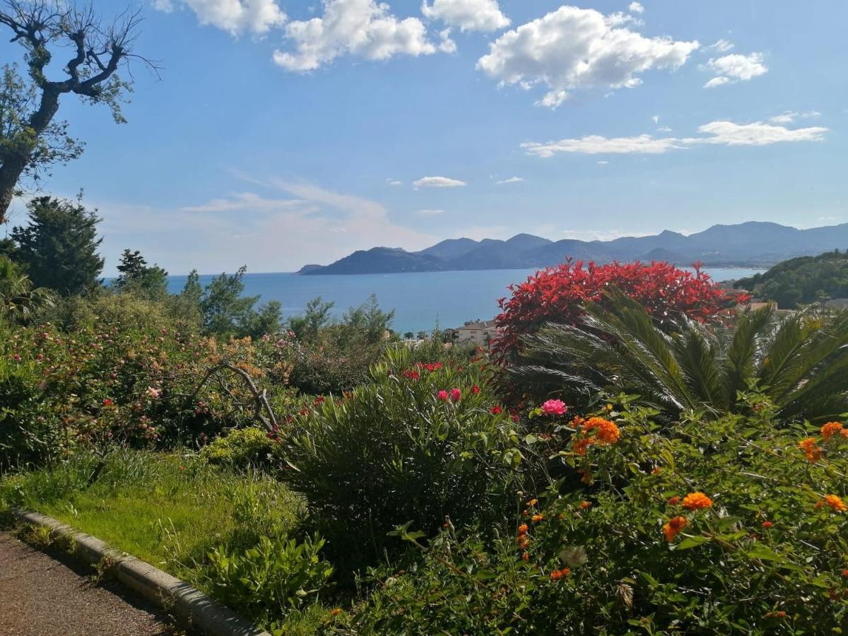Flo & Rose Azur - Duplex Vue Mer Terrasses Piscine Jardins Parking 戛纳 外观 照片